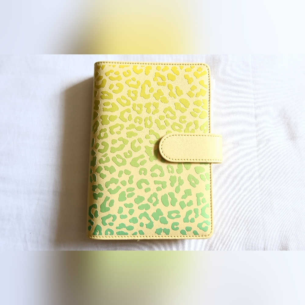Budget Binder / Cash Stuffing / Leopard / Ombre / Cash Envelopes / Money Saving